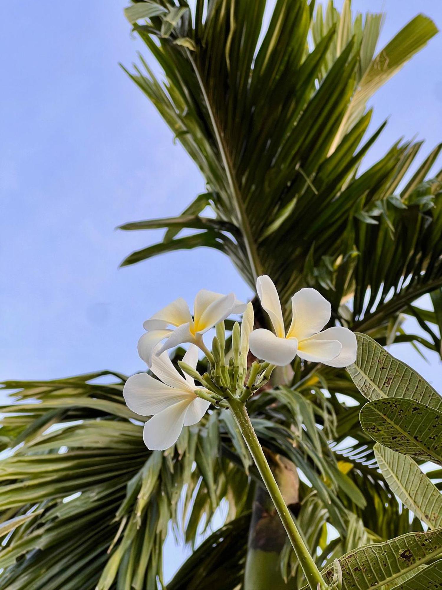 The Canopy Krabi Ao Nang المظهر الخارجي الصورة